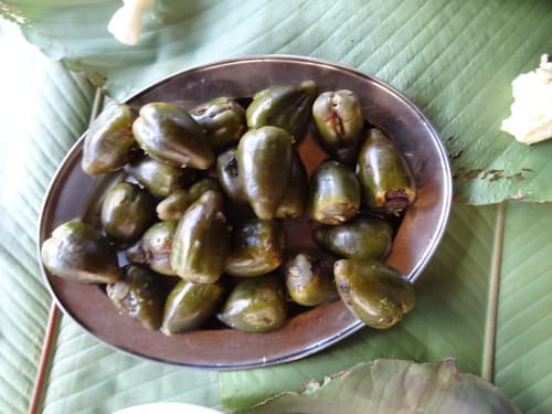 Bactris gasipaes - Leaves