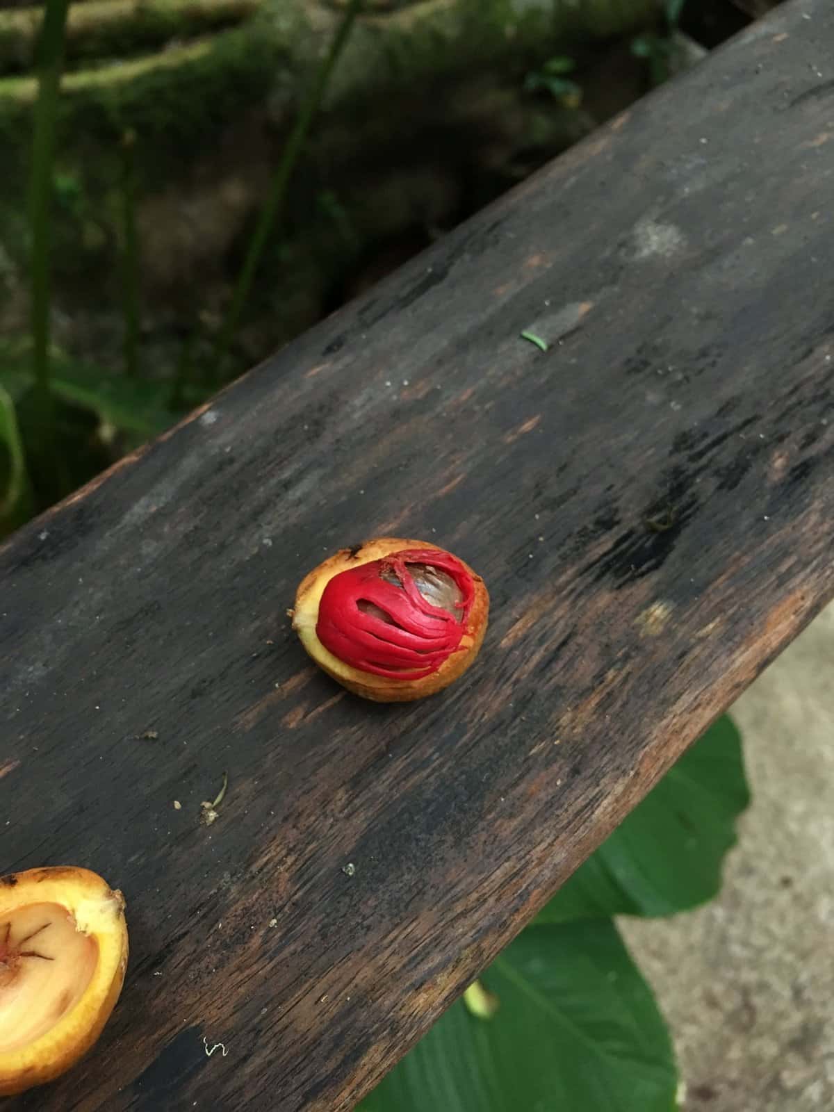 Fruta Dorada