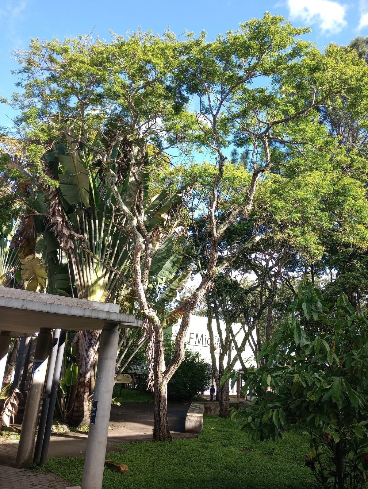 Guachipelín